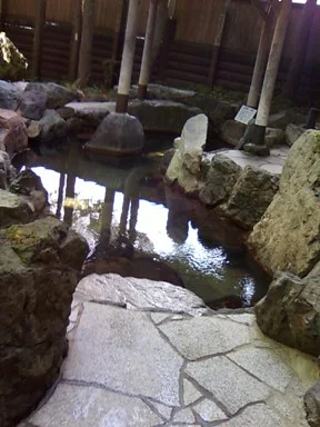 花はす温泉そまやま