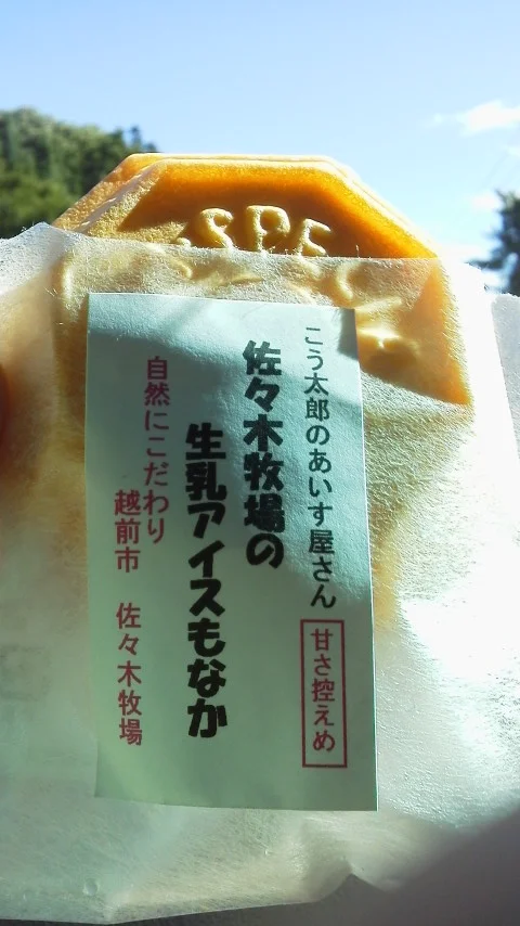泰澄の杜