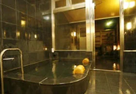 Nakamoto Ryokan - Ashihara - Fukui