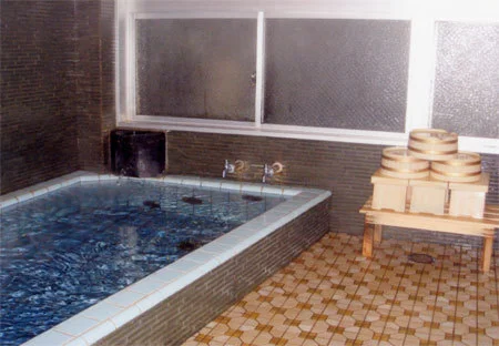 Mikuniya Hot Spring, Restaurant, and Inn - Fukui
