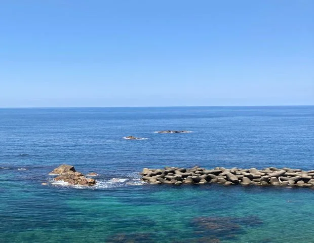 越前くりや温泉　旅館　金龍