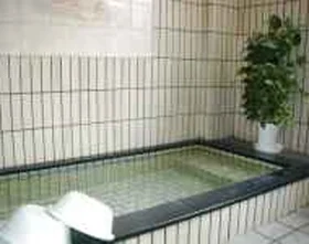 Echizen Tamakawa Onsen, Ryokan Shuchiku - Fukui