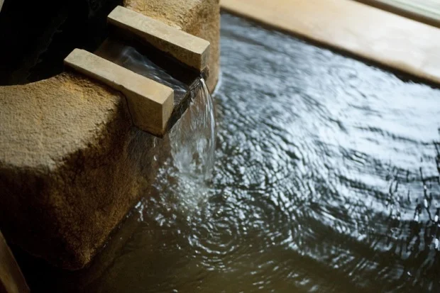 愛犬と過ごす本格旅館　月香 - 芦原 - 福井県