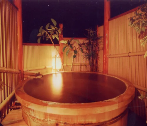 Onsen Ryokan Otonoya - Shizuoka