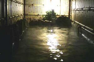 割烹旅館　藤元(閉館しました)