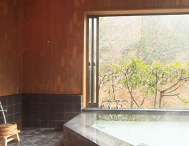 梅ヶ島温泉の囲炉裏の宿 山の宿・P くさぎ里