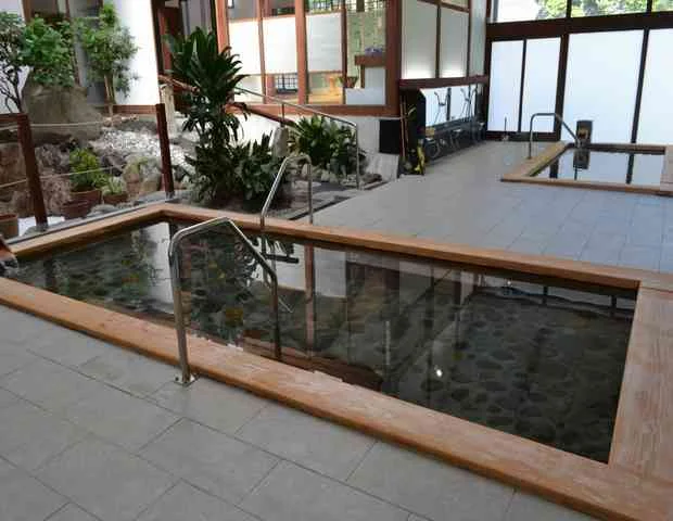 大沢温泉 依田之庄