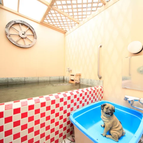 Atami Onsen Ryokan Nagisa-kan - Shizuoka