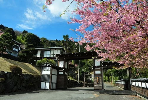 フォトアルバム11