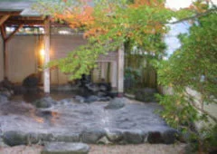 Izu-Nagaoka Onsen Kameyaean - Shizuoka