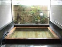 浮島温泉しおさいの湯