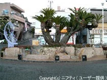 黄金の湯