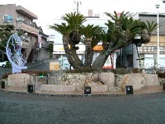 黄金の湯