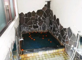 Kanemi-sou Hot Spring Inn - Shizuoka