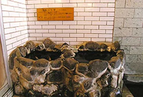 フォトアルバム6