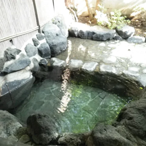 Kodoi Onsen Nishinoya Inn - Shizuoka