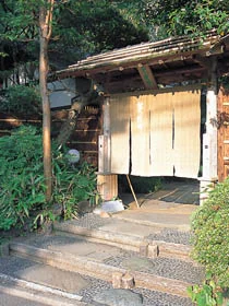 伊豆高原 城ヶ崎温泉 花吹雪