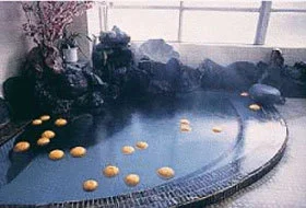 Local Cuisine Inn, Hot Spring Minshuku Kawaei - Shizuoka