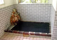 Ishibe Onsen Mutsumi-so - Shizuoka