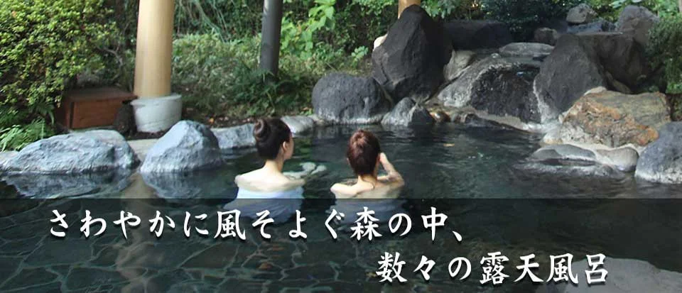 トップメイン画像4