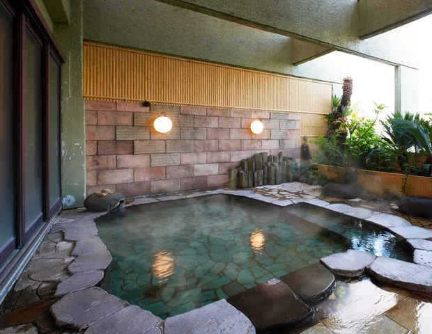 Netsukawa Onsen Hotel Tamadragon (formerly Netsukawa Onsen Hotel Ooruri) - Shizuoka