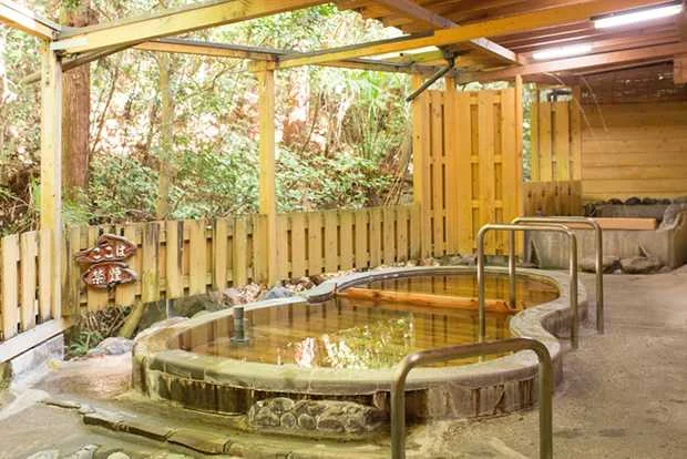 伊豆・ぬる湯の名湯 源泉駒の湯荘