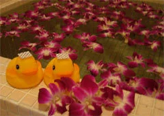 ファミリーペンション・ノーヴァ - 静岡県