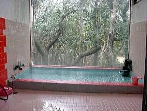 温泉宿 ブルー爪木 - 静岡県