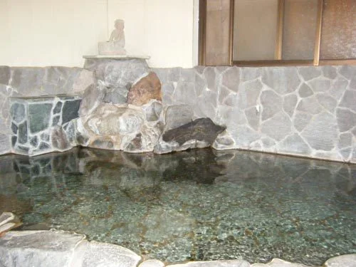 Japanese-style Pension Ginsen - Shizuoka