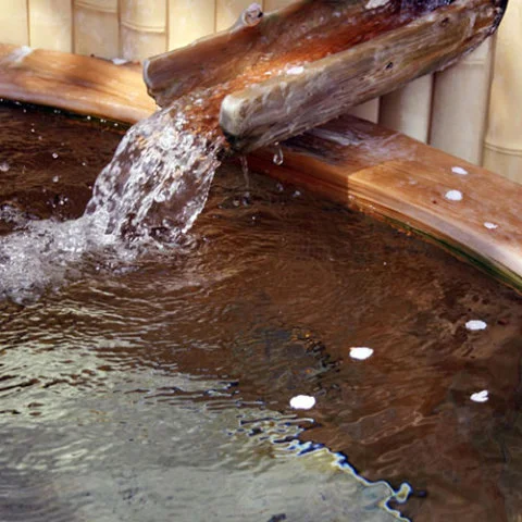 Izu-Nagaoka Onsen, Shofuku no Yado Ebisuya - Shizuoka