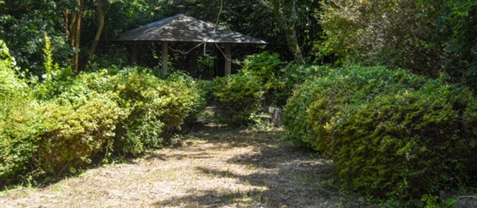 トップメイン画像4