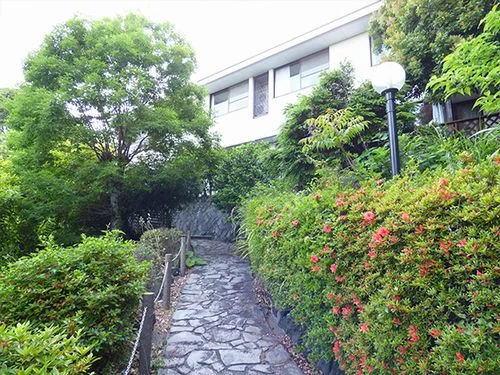 トップメイン画像6