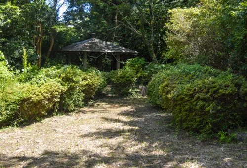 フォトアルバム5