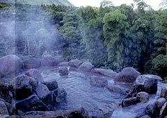 Real Country Inn Speak Easy - Atagawa - Shizuoka