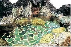 民宿 浜加房 - 静岡県