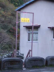 犬猫温泉