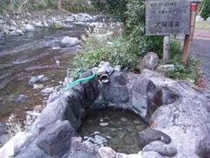 犬猫温泉