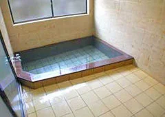 Hiromiya Hot Spring Inn - Shizuoka