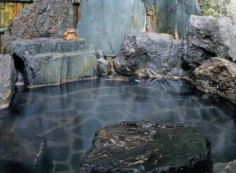 Mountain Hot Spring Inn Karin - Shimokamo - Shizuoka