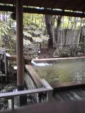 いづみ荘