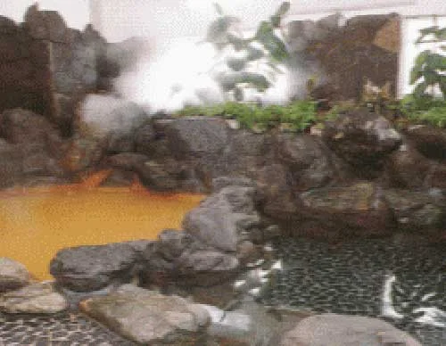 温泉割烹旅館 翠泉閣