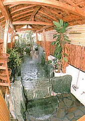 Toi Onsen Ryokan Shiooto Fuji-no-Yado Koike-so - Shizuoka