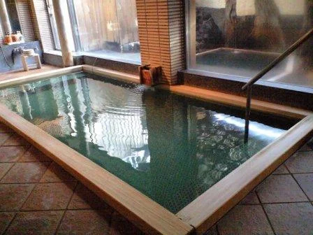 大成館