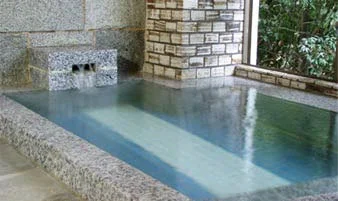 Pet-Friendly Onsen Accommodation Izu Wan Club - Izu Plateau - Shizuoka