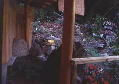 プチホテル トゥインクル - 河津 - 静岡県