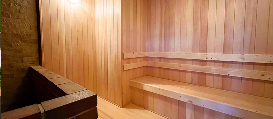 トップメイン画像4