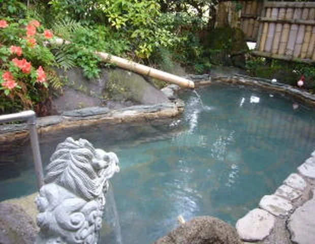 ごぜんの湯(閉館しました)