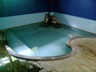 臨泉閣（閉館しました）