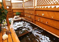 Iwaji Onsen Hot Spring Inn Kaikouen - Shizuoka