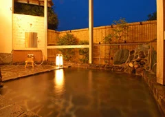 Resort Inn Goishiga-hama - Ocean View Natural Hot Spring Inn - Shizuoka